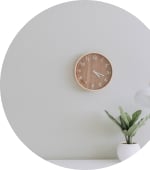 Wall clock and flower pot
